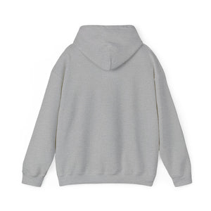 BTD Unisex Heavy Blend™ Hooded Sweatshirt